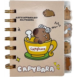 TAROS UNICK COLOR CAPY BARA SEPARATÖRLÜ NOT DEFTERİ