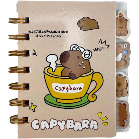 TAROS UNICK COLOR CAPY BARA SEPARATÖRLÜ NOT DEFTERİ