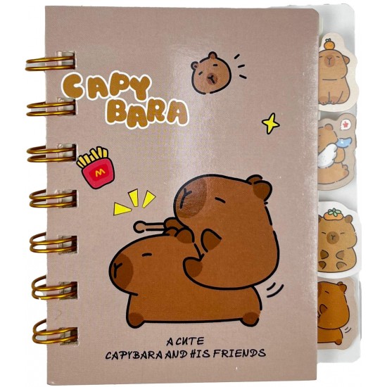 TAROS UNICK COLOR CAPY BARA SEPARATÖRLÜ NOT DEFTERİ